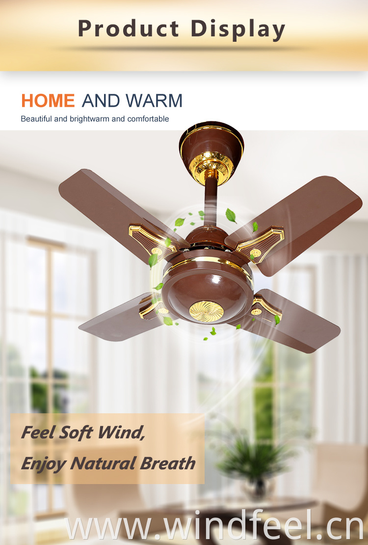 China Supplier High Efficient Simple Modern Small Size 24 Inch AC Copper Motor Custom Wholesale Ceiling Fans